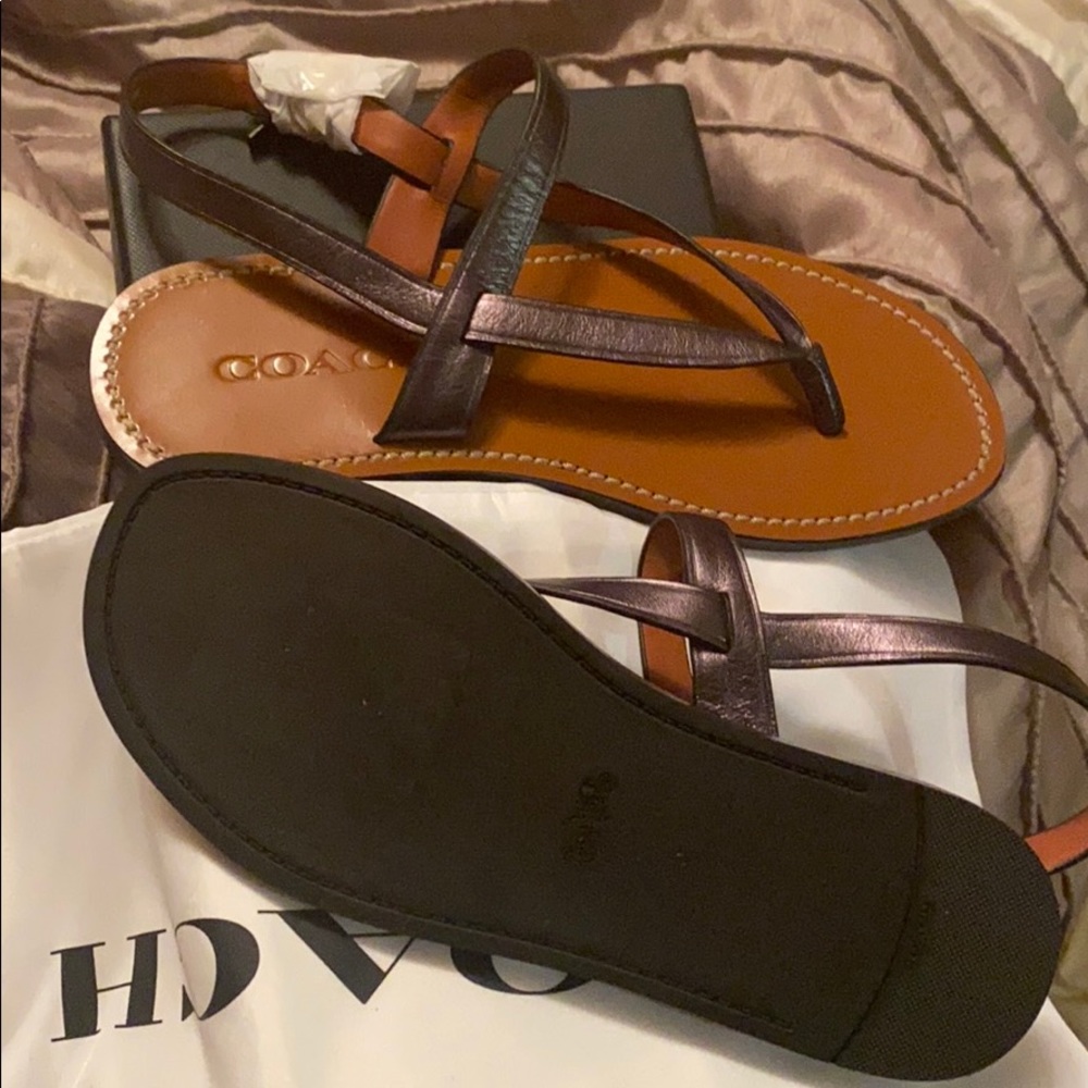 COACH Hudson Leather Sandal size 5 NIB Gunmetal